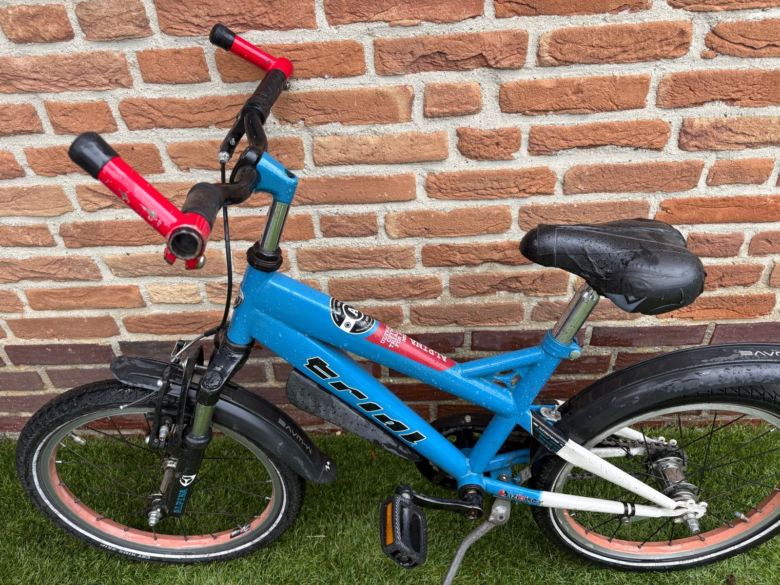 Blauwe kinderfiets Alpine 18 inch, Ophalen, Gebruikt, Terugtraprem, 16 tot 20 inch