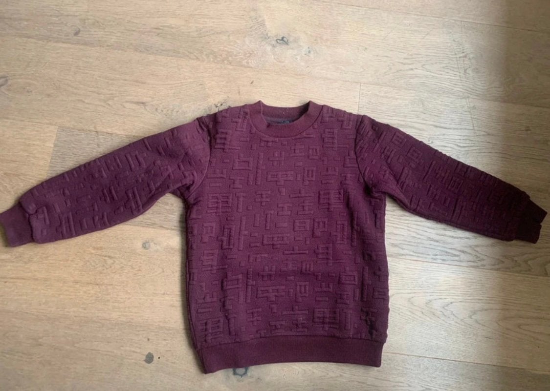 Truien Shoeby 110-116, Ophalen, Gebruikt, Maat 110