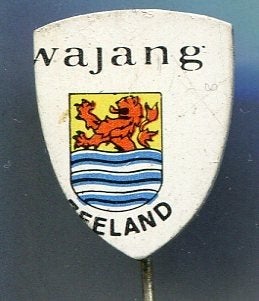 WAJANG Zeeland stadswapen blik misdruk speldje ( L_100), Verzamelen, Speldjes, Pins en Buttons, Verzenden, Zo goed als nieuw, Merk