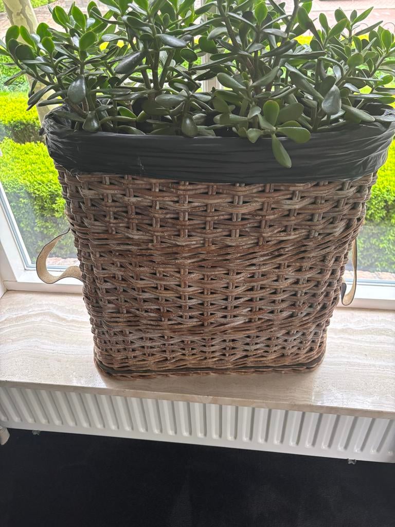 Hoge rieten bloemenmand- Vensterbankvullend, Huis en Inrichting, Ophalen, Gebruikt, Mand, Riet