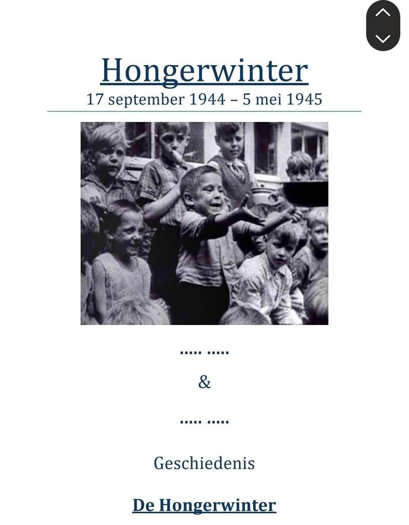Profielwerkstuk Havo: De Hongerwinter (Beoordeeld 8.5), Boeken, Ophalen of Verzenden, 20e eeuw of later, Gelezen, Onbekend