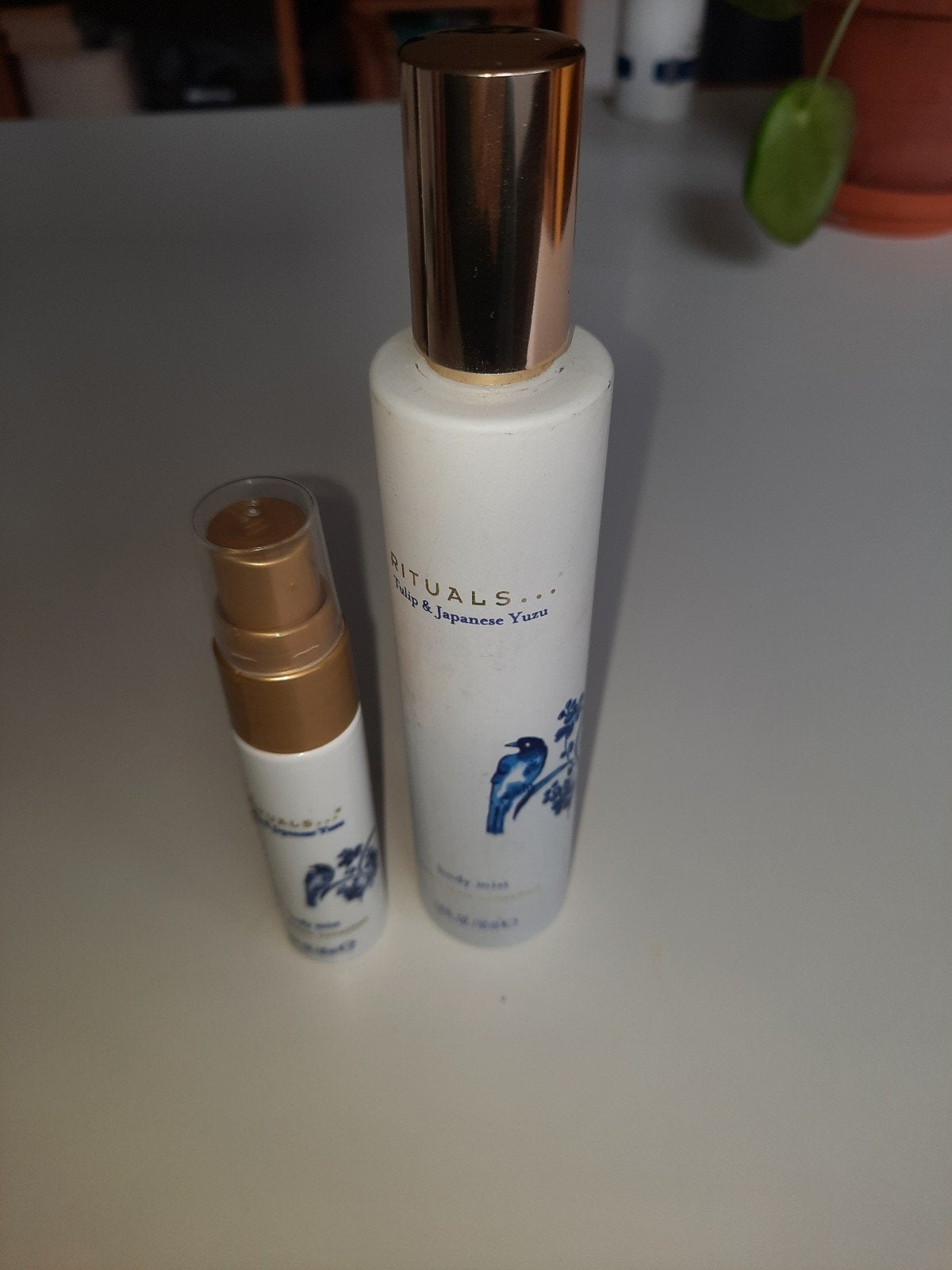 Twee x bodymist van rituals amsterdam collectie, Sieraden, Tassen en Uiterlijk, Uiterlijk | Lichaamsverzorging, Ophalen of Verzenden