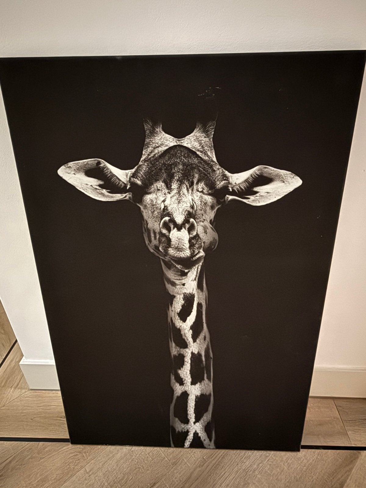 Giraffe op canvas, Ophalen, Gebruikt, Schilderij, 75 – 100