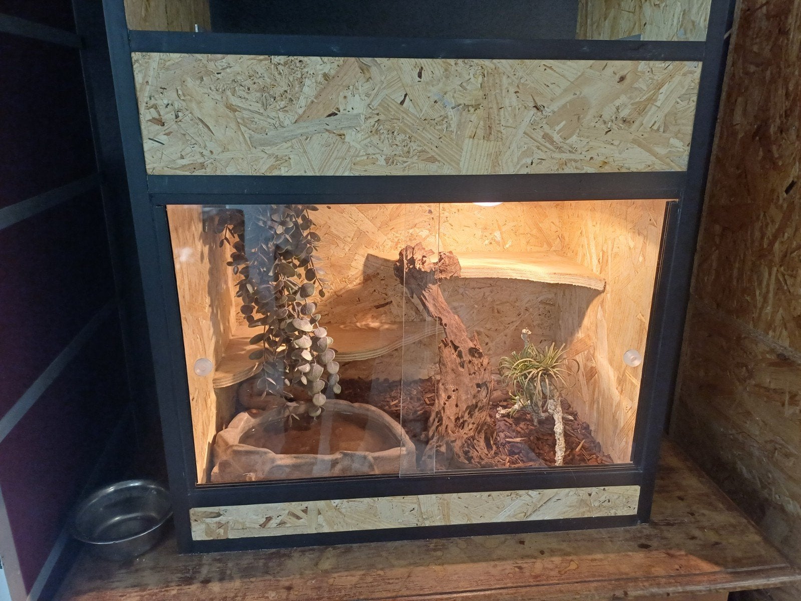 mooi terrarium met extra rack, Dieren en Toebehoren, Ophalen, Zo goed als nieuw