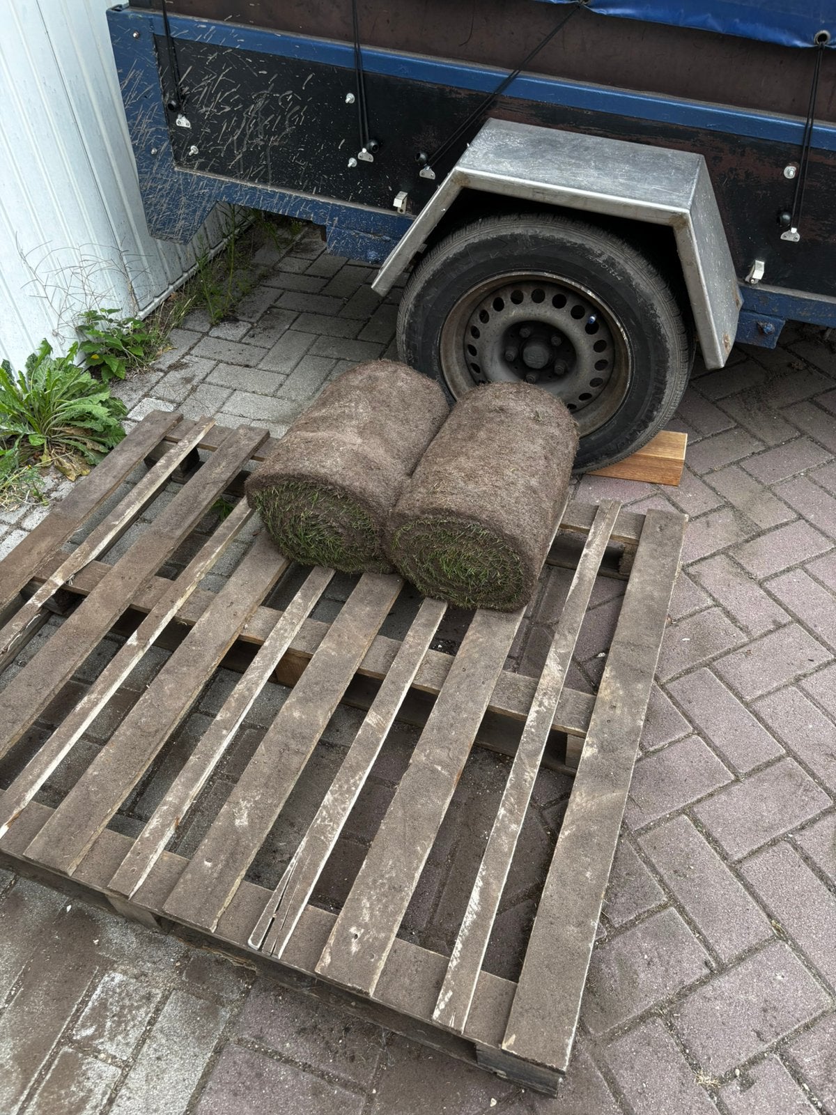 2 rollen graszoden Eco Schaduwgras, Ophalen, Nieuw, Minder dan 10 m²