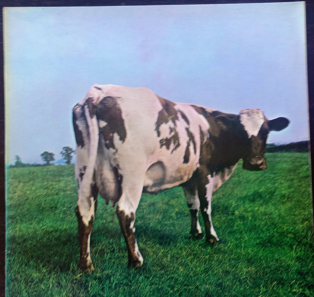 Pink Floyd - Atom Heart Mother, LP, Gebruikt, Ophalen of Verzenden, 12 inch