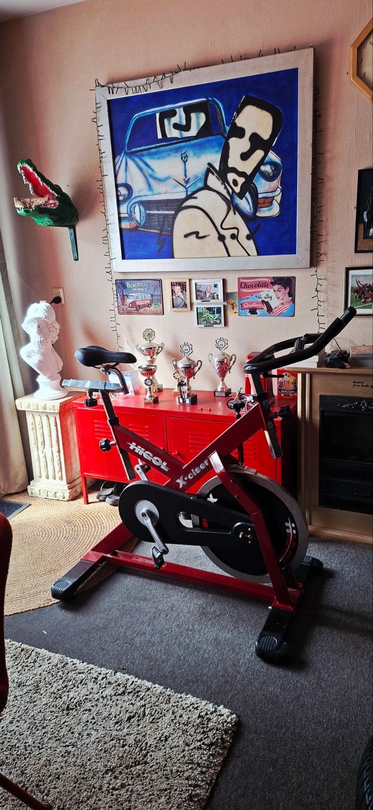 SPEED BIKE I.Z.G.ST 50 EURO, Ophalen of Verzenden, Zo goed als nieuw, Spinningfiets