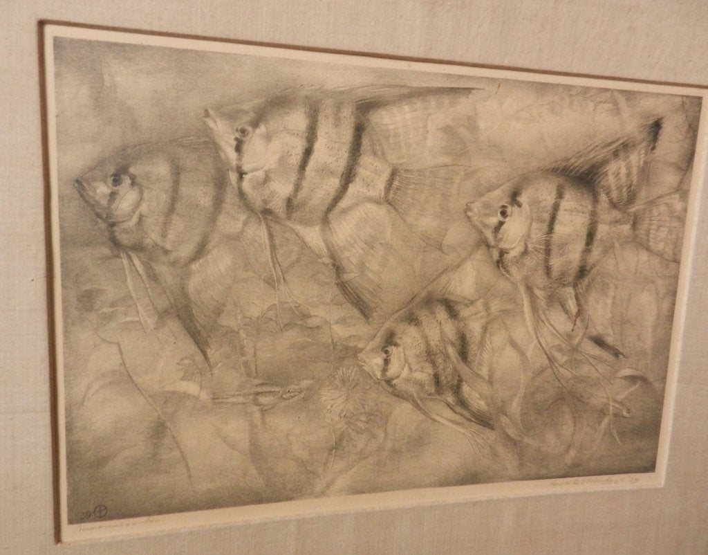 Litho Maanvisschen Aart van Dobbenburgh 1939 29,4 x 44,3 cm., Gesigneerd, Ophalen of Verzenden, Lithografie, Dieren en Natuur