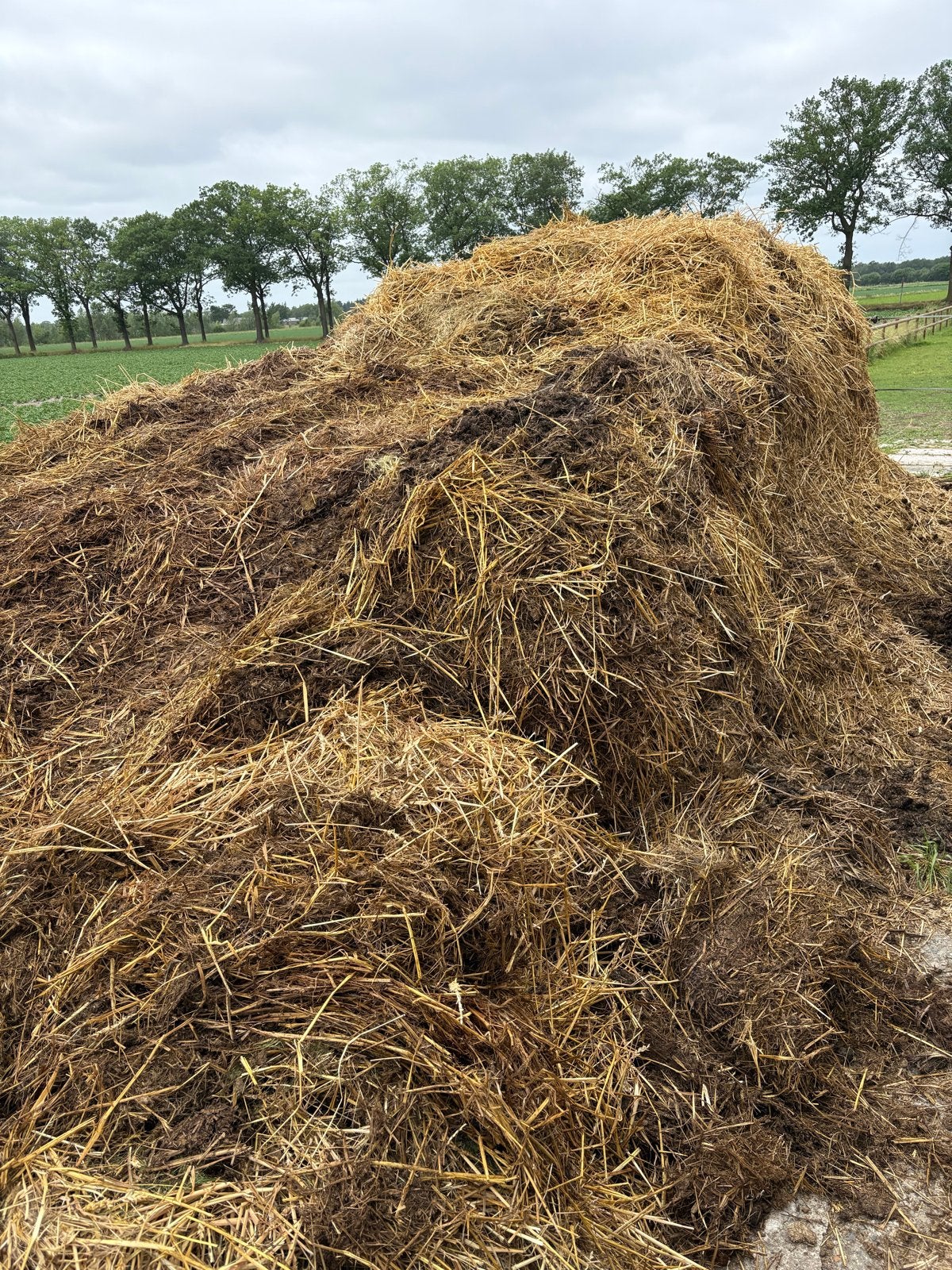 Verse mest met stro voor tuin en landbouw, Tuin en Terras, Aarde en Mest, Ophalen of Verzenden, Mest