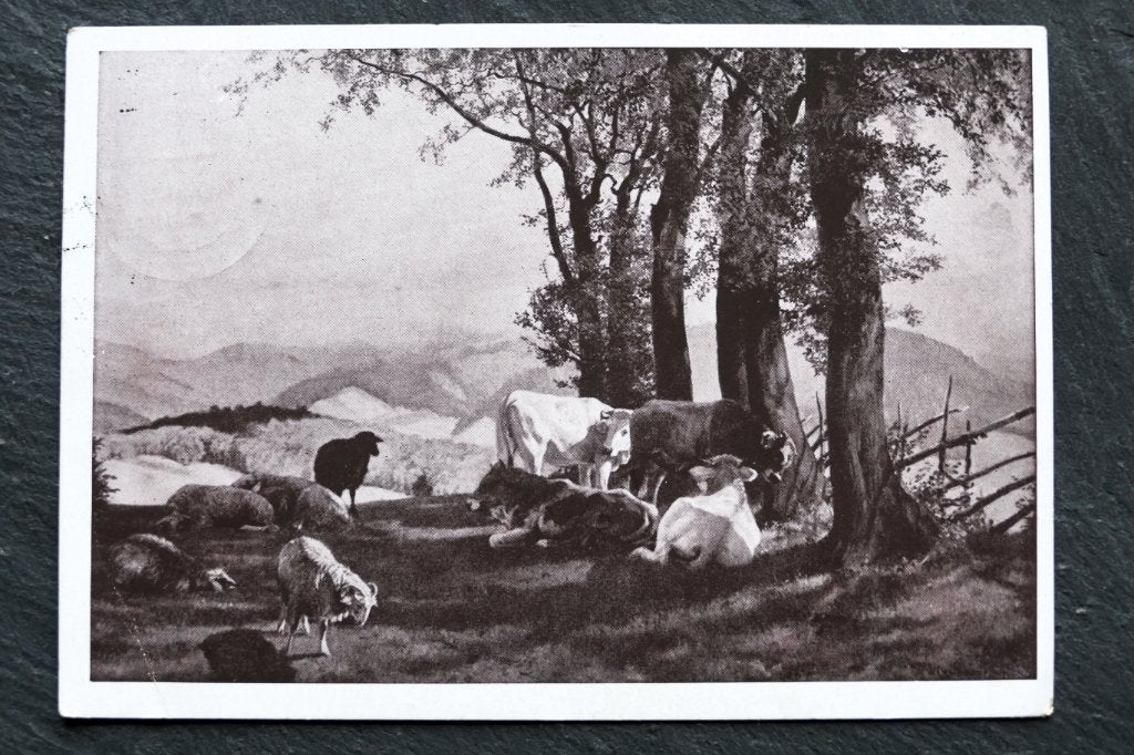 Koeien en schapen in het Murztal, 1940, Oostenrijks, Verzamelen, Ansichtkaarten | Dieren, Verzenden, 1940 tot 1960, Gelopen, Overige soorten