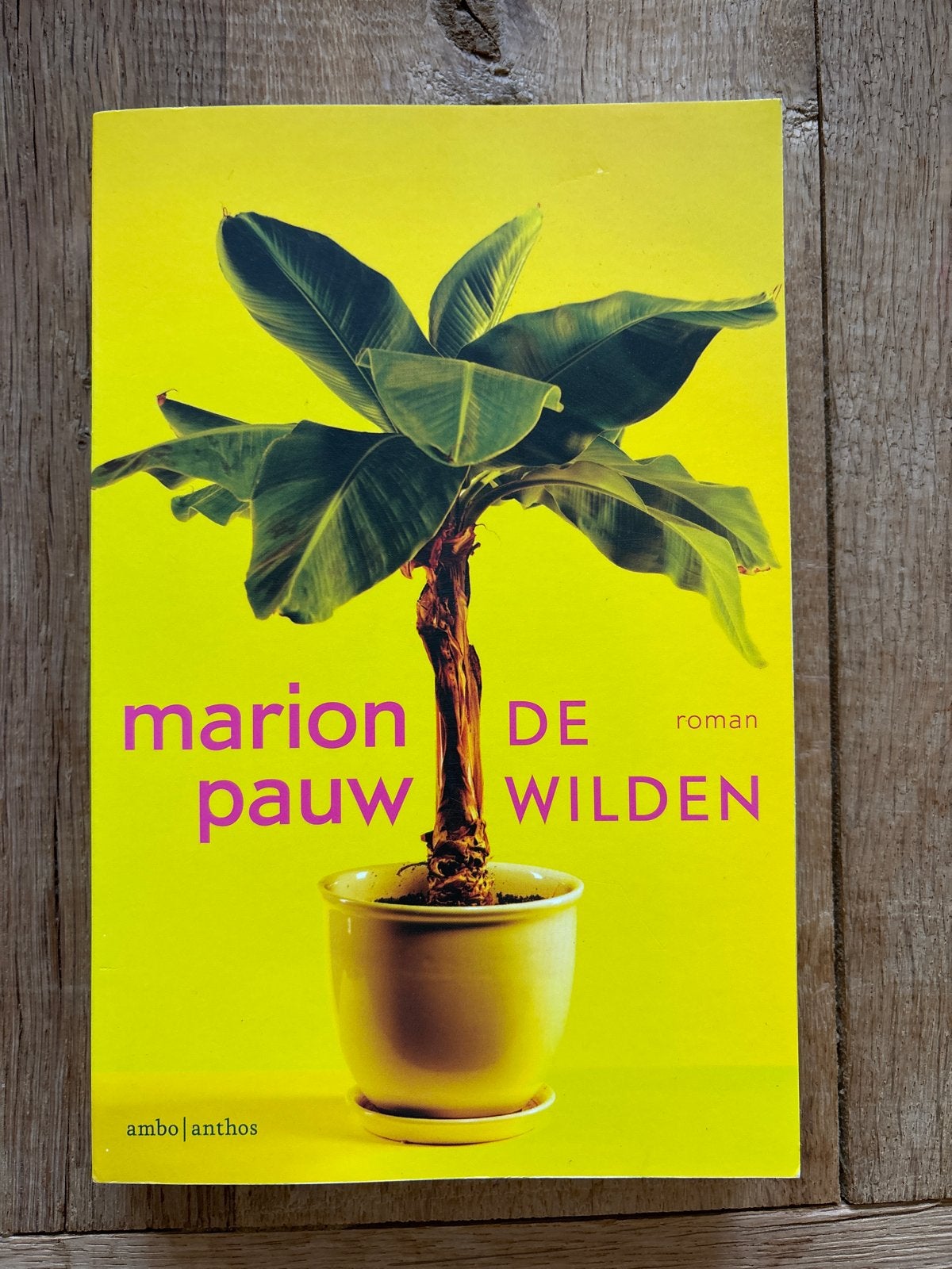 De Wilden - Marion Pauw (roman), Boeken, Ophalen of Verzenden, Gelezen, Nederland
