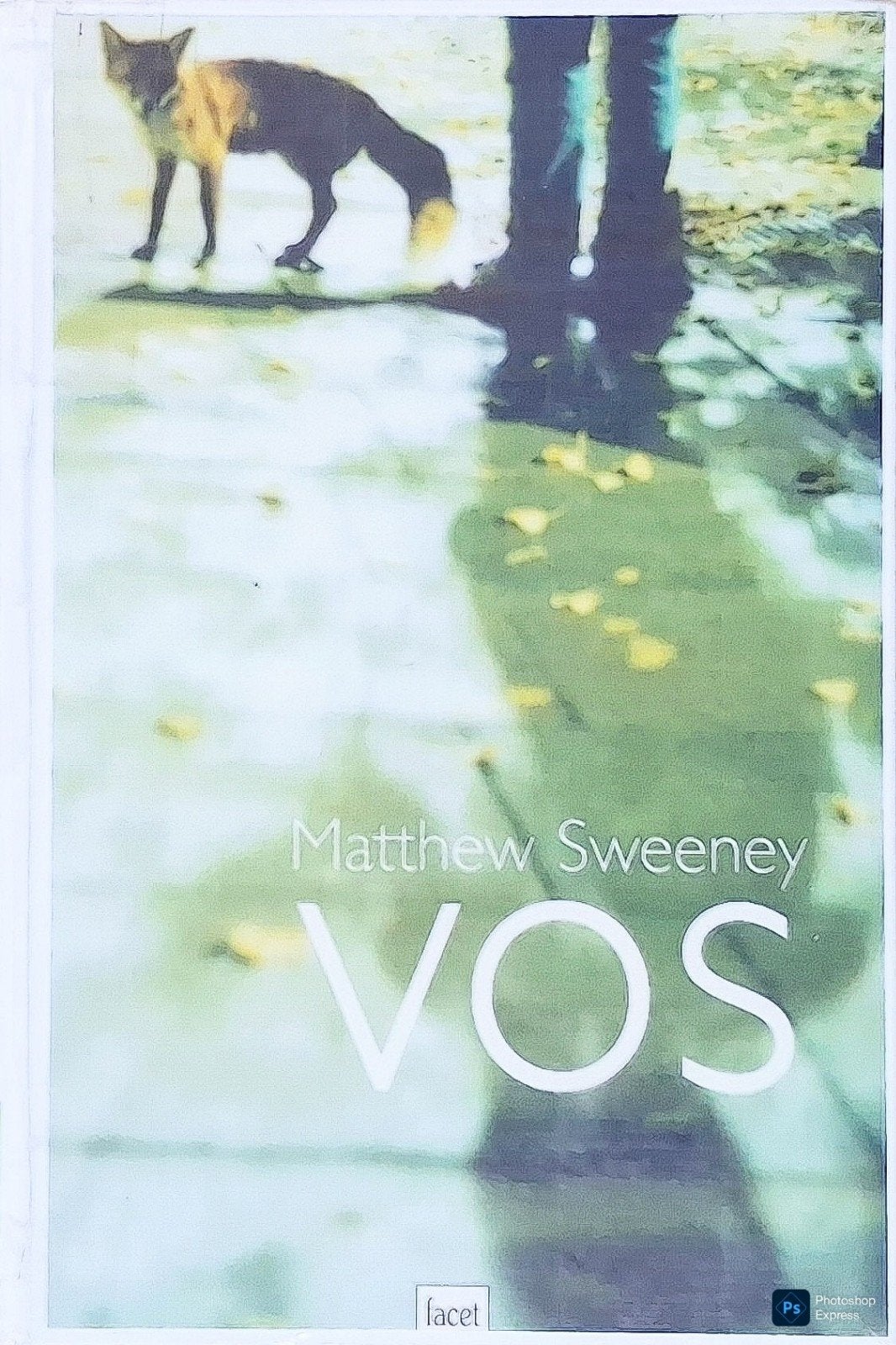 Vos, Ophalen of Verzenden, Gelezen, Matthew Sweeney., Fictie