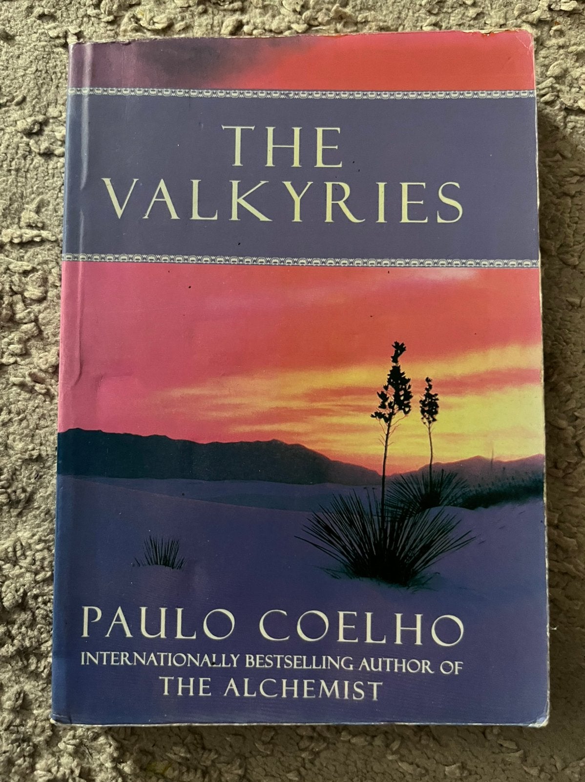 The Valkyries – Paulo Coelho (Engelstalig), Ophalen of Verzenden, Zo goed als nieuw