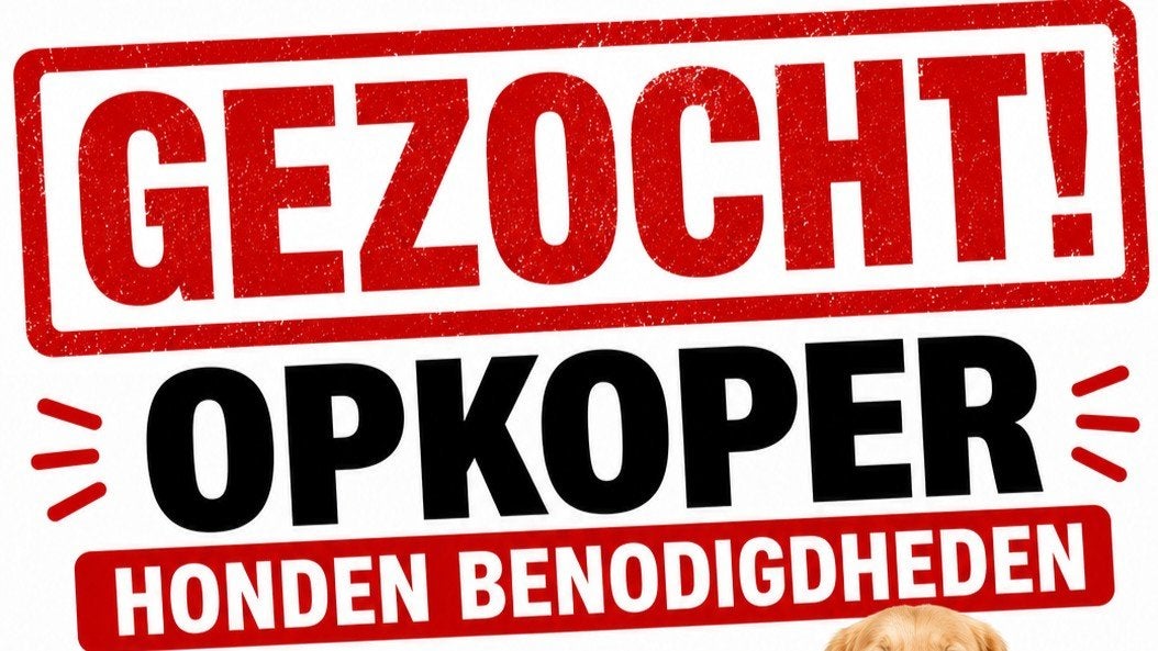 gezocht opkoper voor grote hoeveel heid nieuw spul, Ophalen of Verzenden, Nieuw