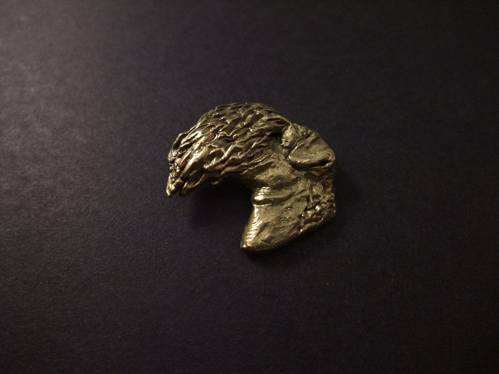 Airedale Terriër,( Koning der Terriërs) geelkoperen pin, Ophalen of Verzenden, Gebruikt, Overige onderwerpen