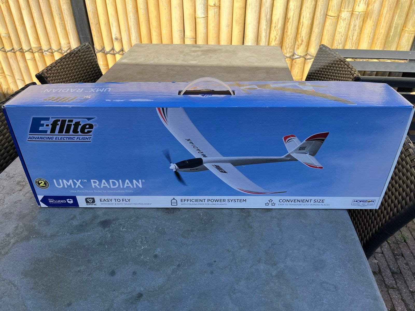 E-Flite UMX Radian RC Zweefvliegtuig - Nieuw in doos, Nieuw, Groter dan 1:72, Vliegtuig, Ophalen