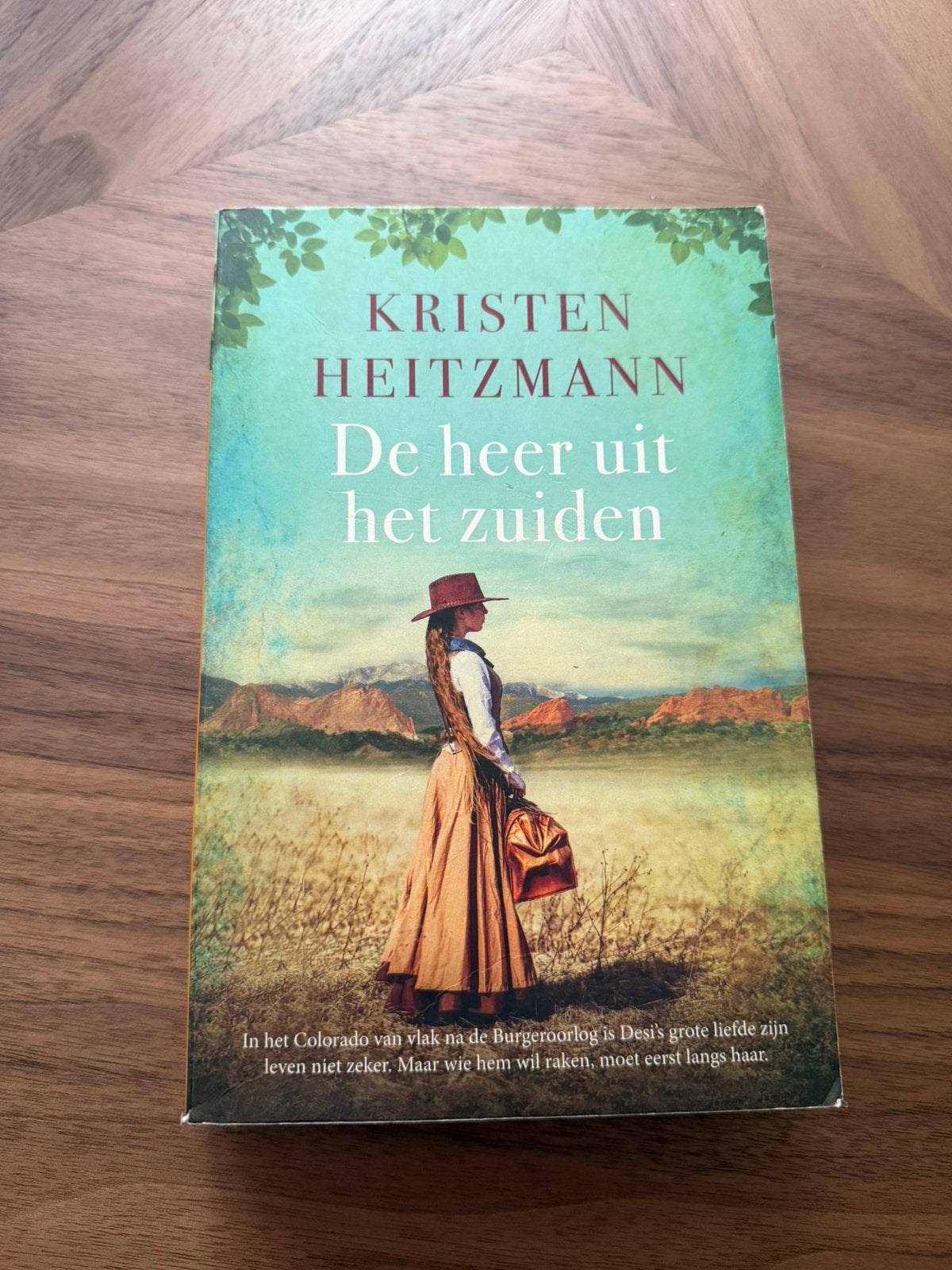 Kristen Heitzmann - De heer uit het zuiden, Boeken, Ophalen of Verzenden, Zo goed als nieuw, Kristen Heitzmann