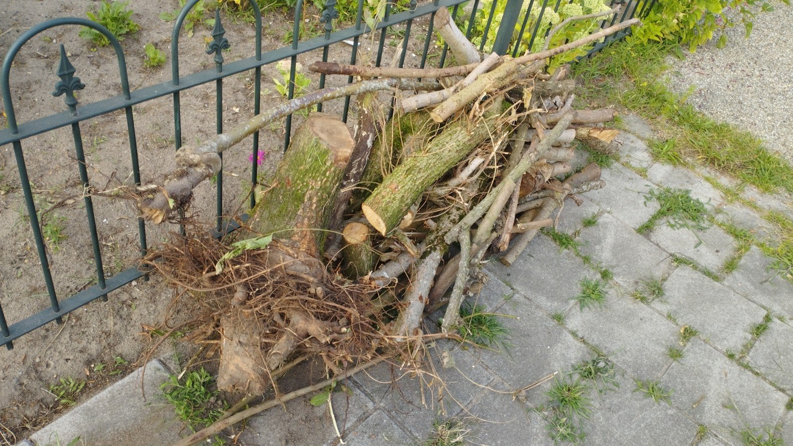 Gratis Brandhout, 3 tot 6 m³, Ophalen, Overige houtsoorten, Stammen