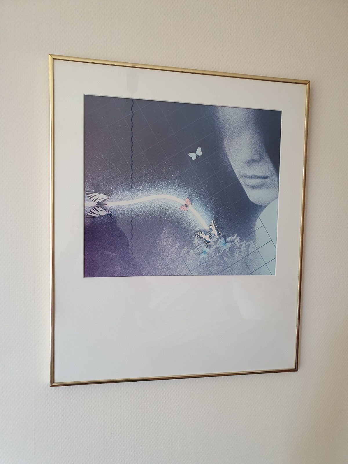 Modern ingelijste print met vlinders en gezicht, Antiek en Kunst, Ophalen