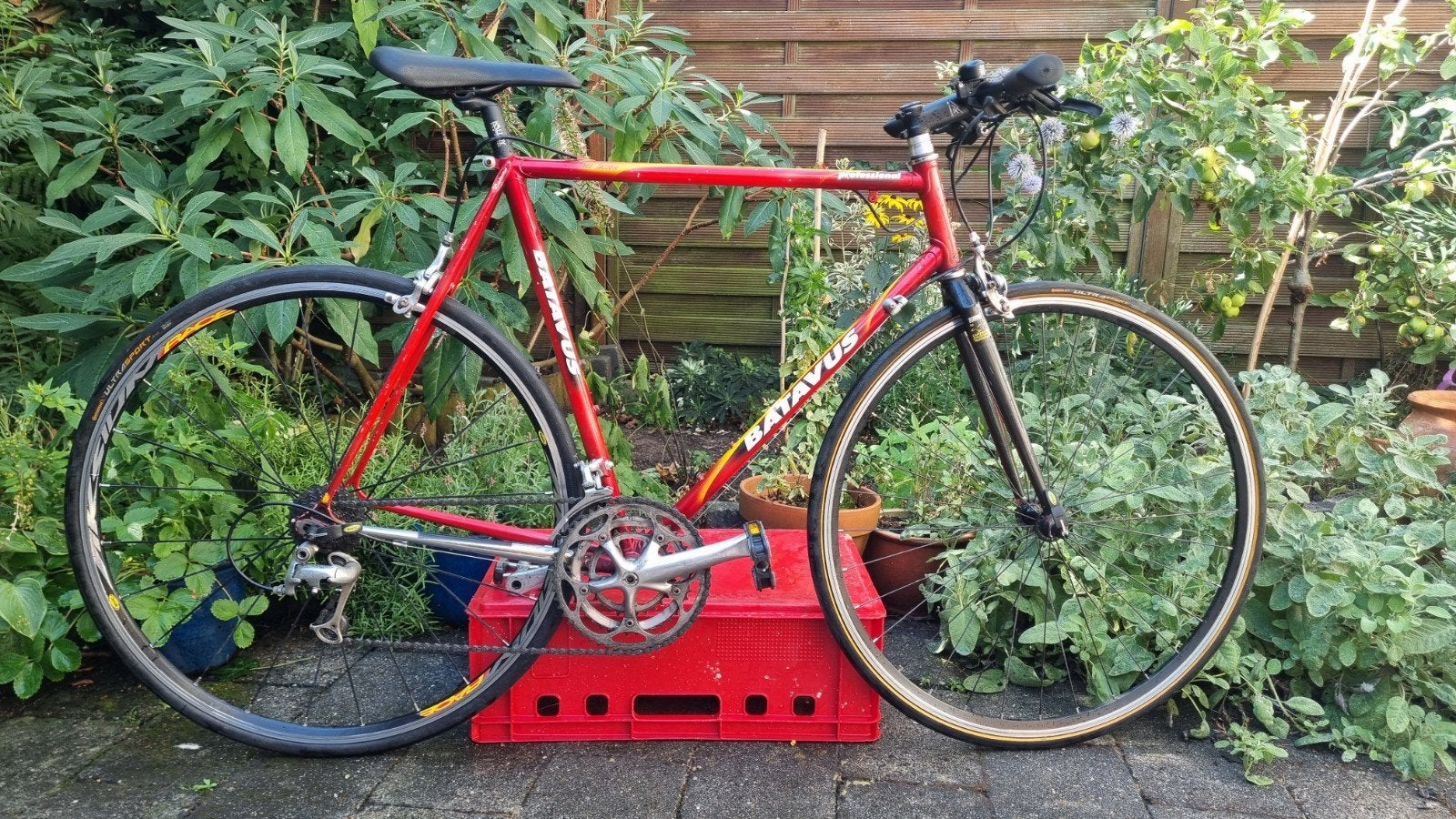 "klassieke" proffesionele Batavus racefiets/stadsfiets, Ophalen, Gebruikt, Batavus, Aluminium