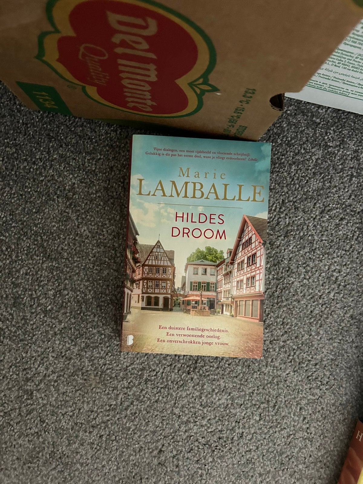 Marie Lamballe. Hildes Droom, Ophalen of Verzenden, Zo goed als nieuw