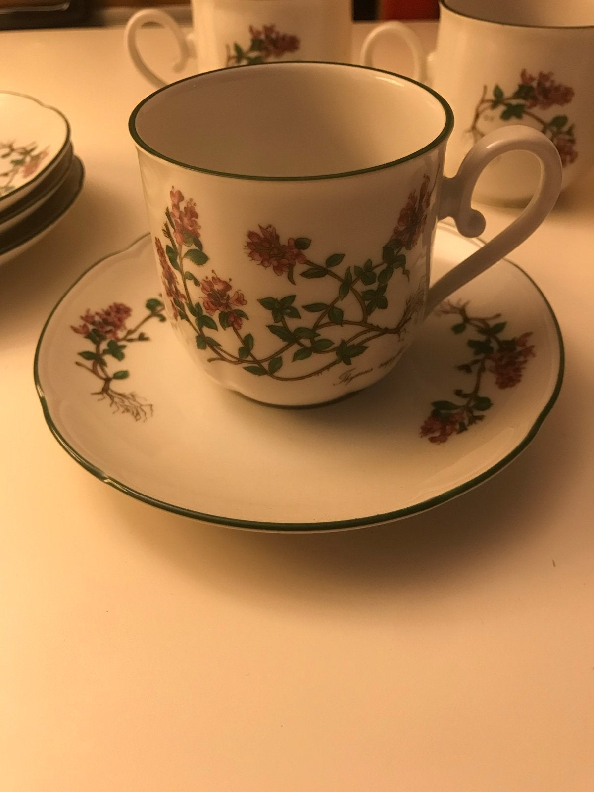 Seltmann Weiden Bavaria Renate Flora kop en schotel 4x nw, Overige merken, Vintage, Nieuw, Ophalen of Verzenden