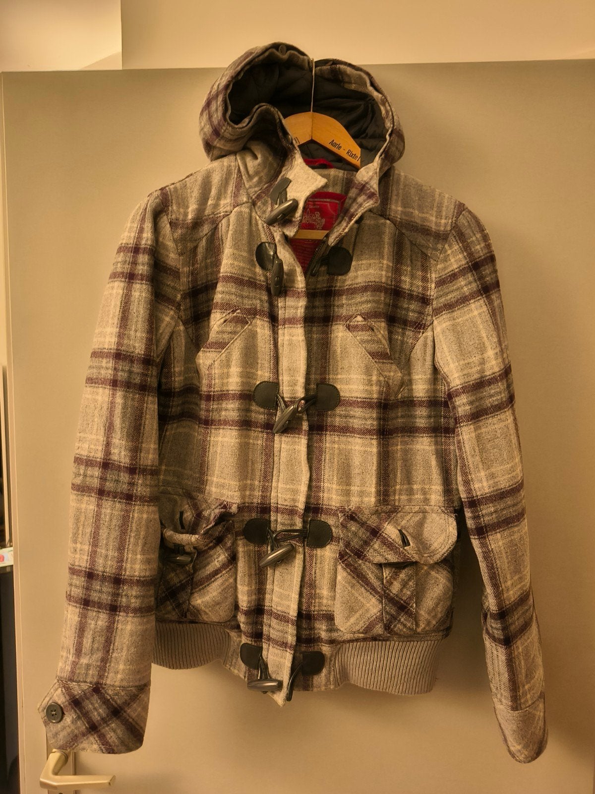 1 zgan jas met rits en capuchon, Kleding | Dames, Ophalen of Verzenden, Zo goed als nieuw, Maat 46/48 (XL) of groter