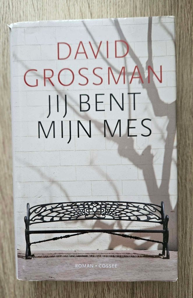 David Grossman - Jij bent mijn mes, Ophalen of Verzenden, Gelezen, David Grossman
