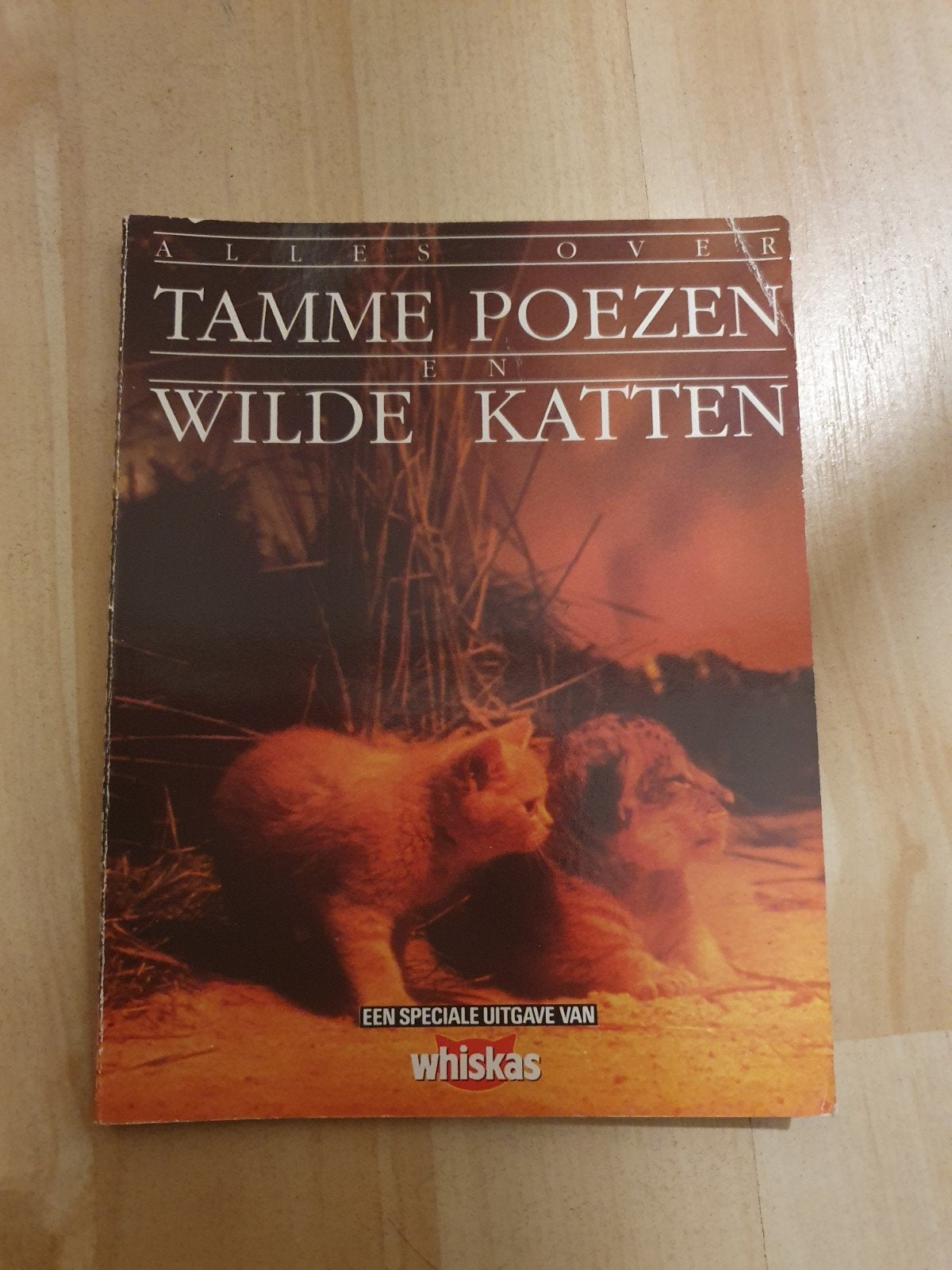 Boekje 'Tamme poezen en wilde katten'!, Ophalen of Verzenden, Gelezen, Katten