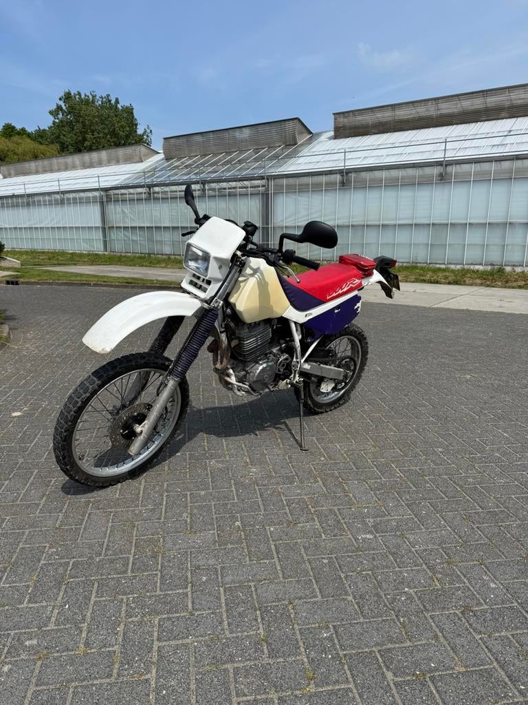 Honda XR 600R, Particulier