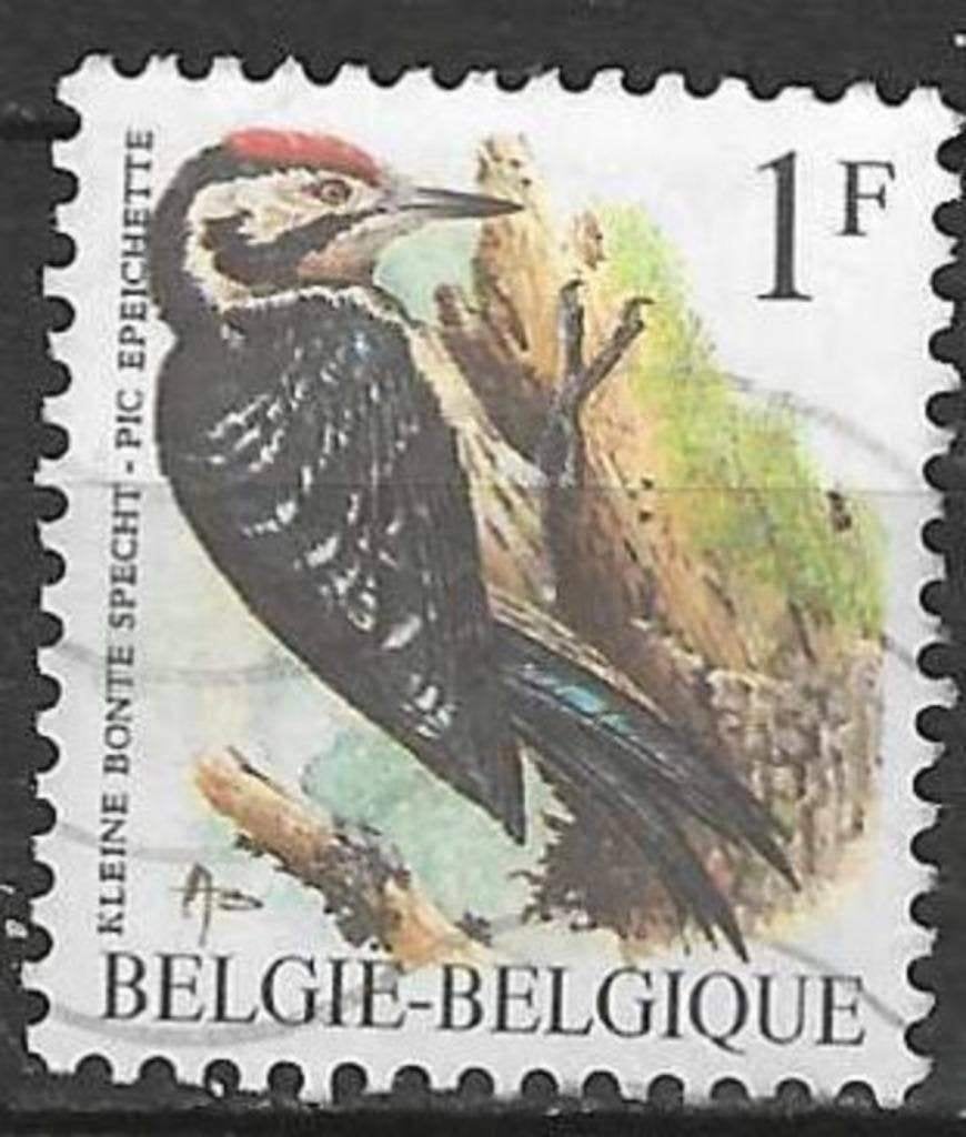 Belgie 1990 - OBP 2349 - Buzin - Bonte Specht - 1 F. (ST), Verzenden, Gestempeld, Voertuigen