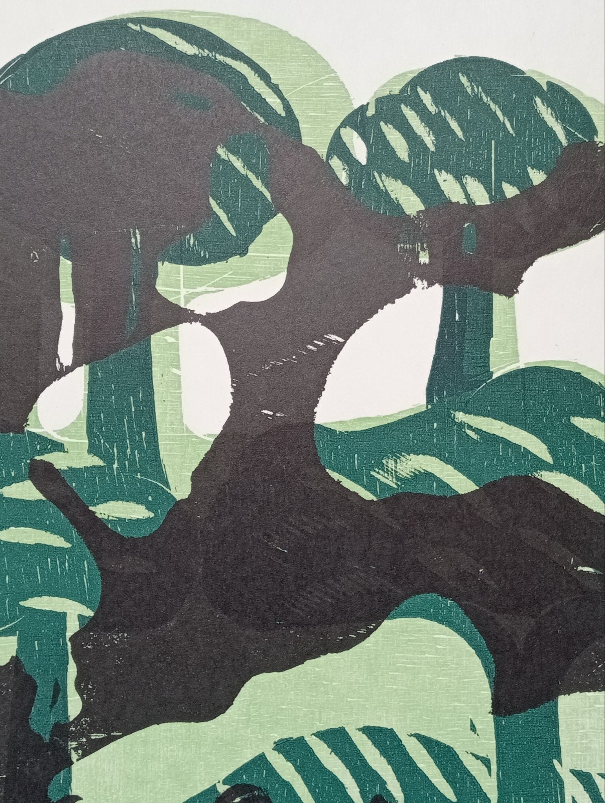 Litho Zeefdruk, Antiek en Kunst, Kunst | Litho's en Zeefdrukken, Ophalen of Verzenden
