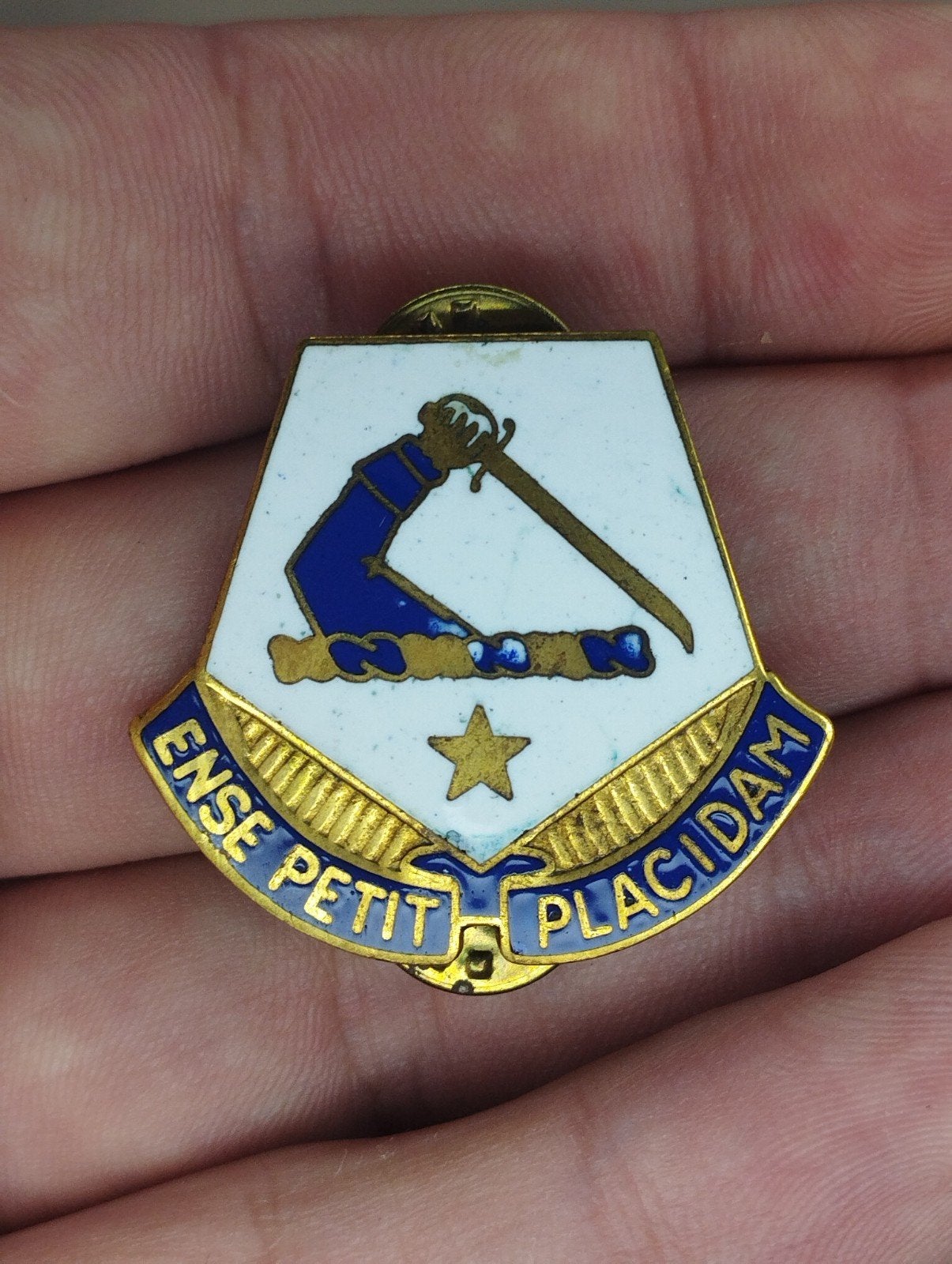 Massachusetts National Guard JFHQ Distinctive Unit Insignia, Ophalen of Verzenden