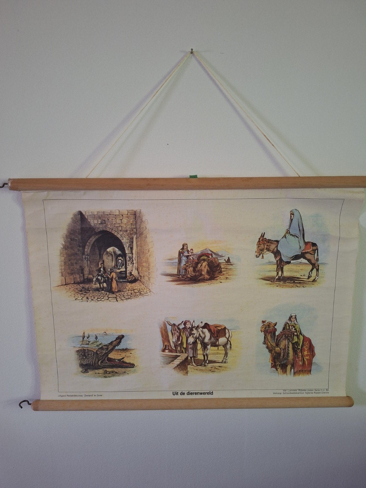 Vintage Schoolplaat 'Uit de Dierenwereld' - Bijbelse Platen, Ophalen of Verzenden