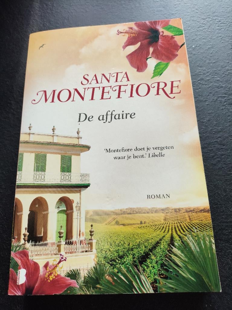 Santa Montefiore De Affaire in nette staat, Boeken, Romans, Ophalen of Verzenden, Zo goed als nieuw, Santa Montefiore
