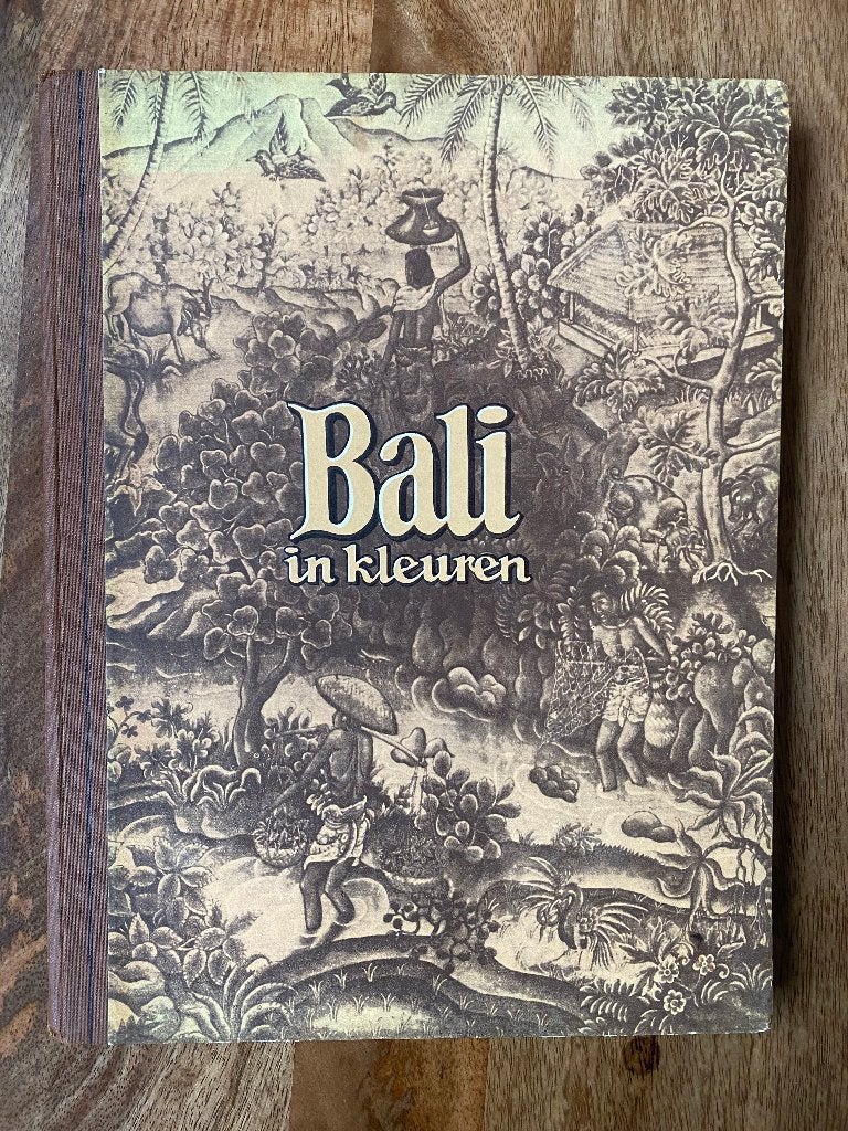 Plaatjesalbum Bali in kleuren - Douwe Egberts, Boeken, Ophalen of Verzenden, Zo goed als nieuw, Douwe Egberts, Plaatjesalbum