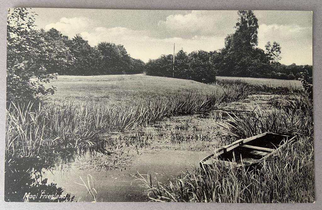 Mooi Friesland, Ophalen of Verzenden, Gelopen, Friesland