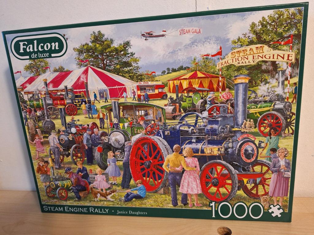 Puzzel falcon, Ophalen of Verzenden, 500 t/m 1500 stukjes, Zo goed als nieuw