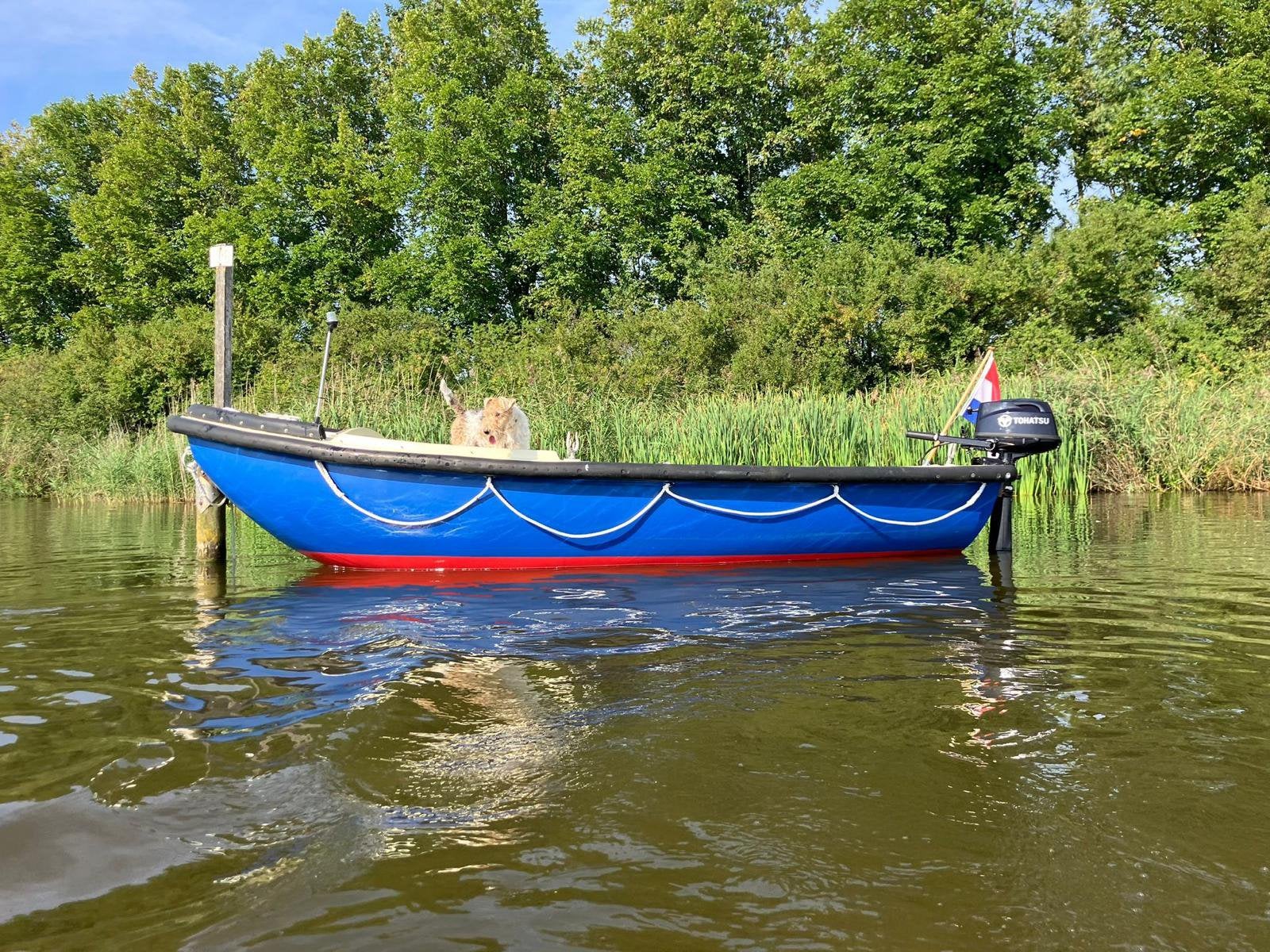 Uniek! | Mulder & Rijke MOB-sloep | Tohatsu 5 pk | Vaarklaar, Gebruikt, 5 pk, Reddingssloep, Antifouling