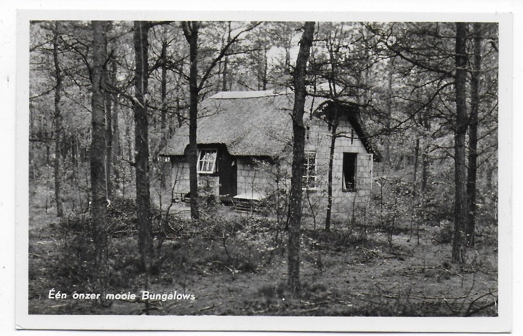 Grollo De Berenkuil oude ongelopen ansichtkaart B7528, Ophalen of Verzenden, 1960 tot 1980, Ongelopen