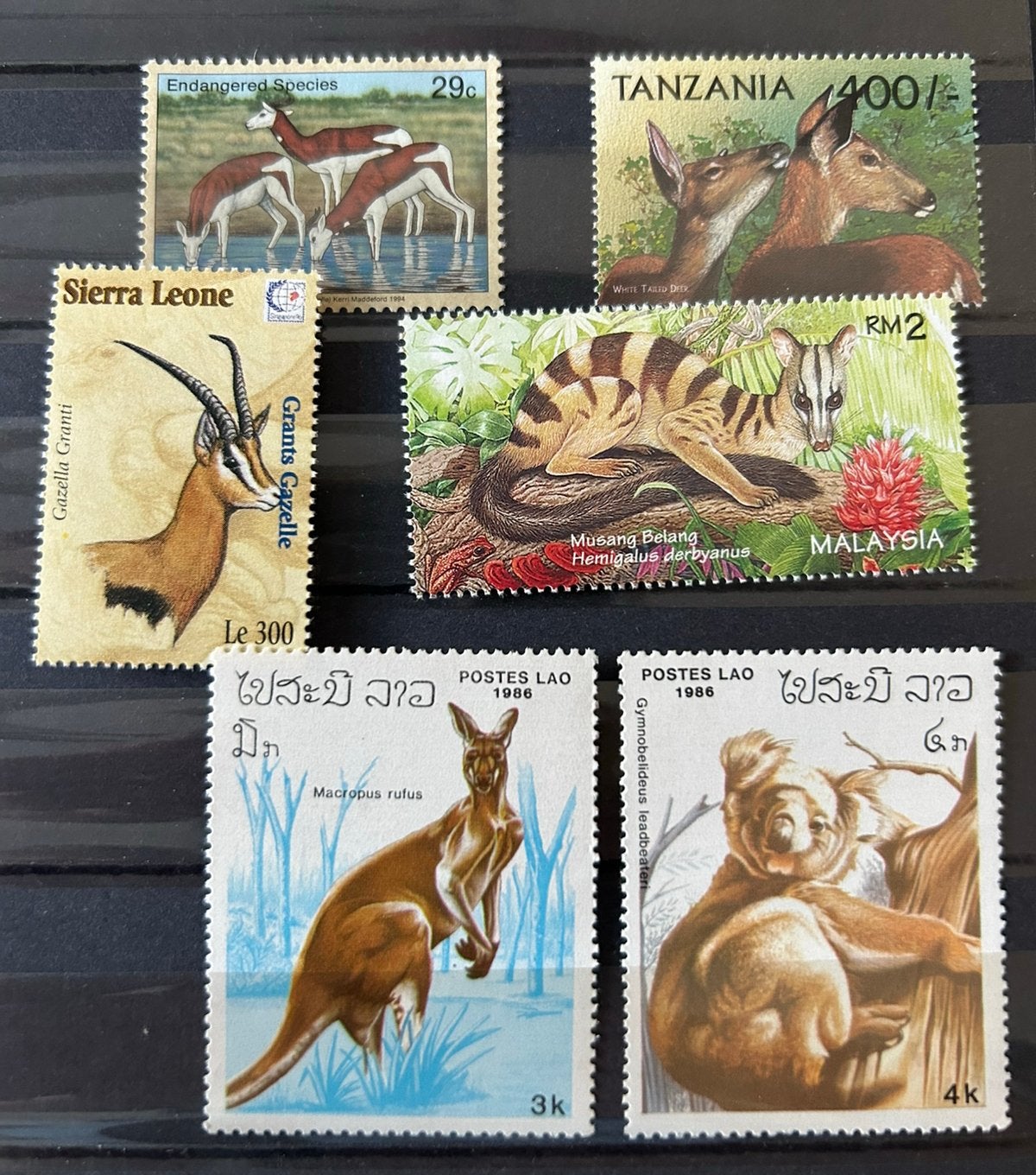 Dieren 2, Verzenden, Dier of Natuur