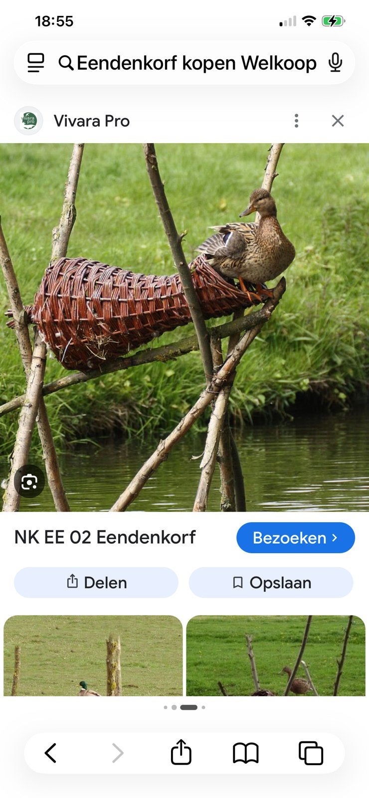 Eenden broedkorf, Meerdere dieren