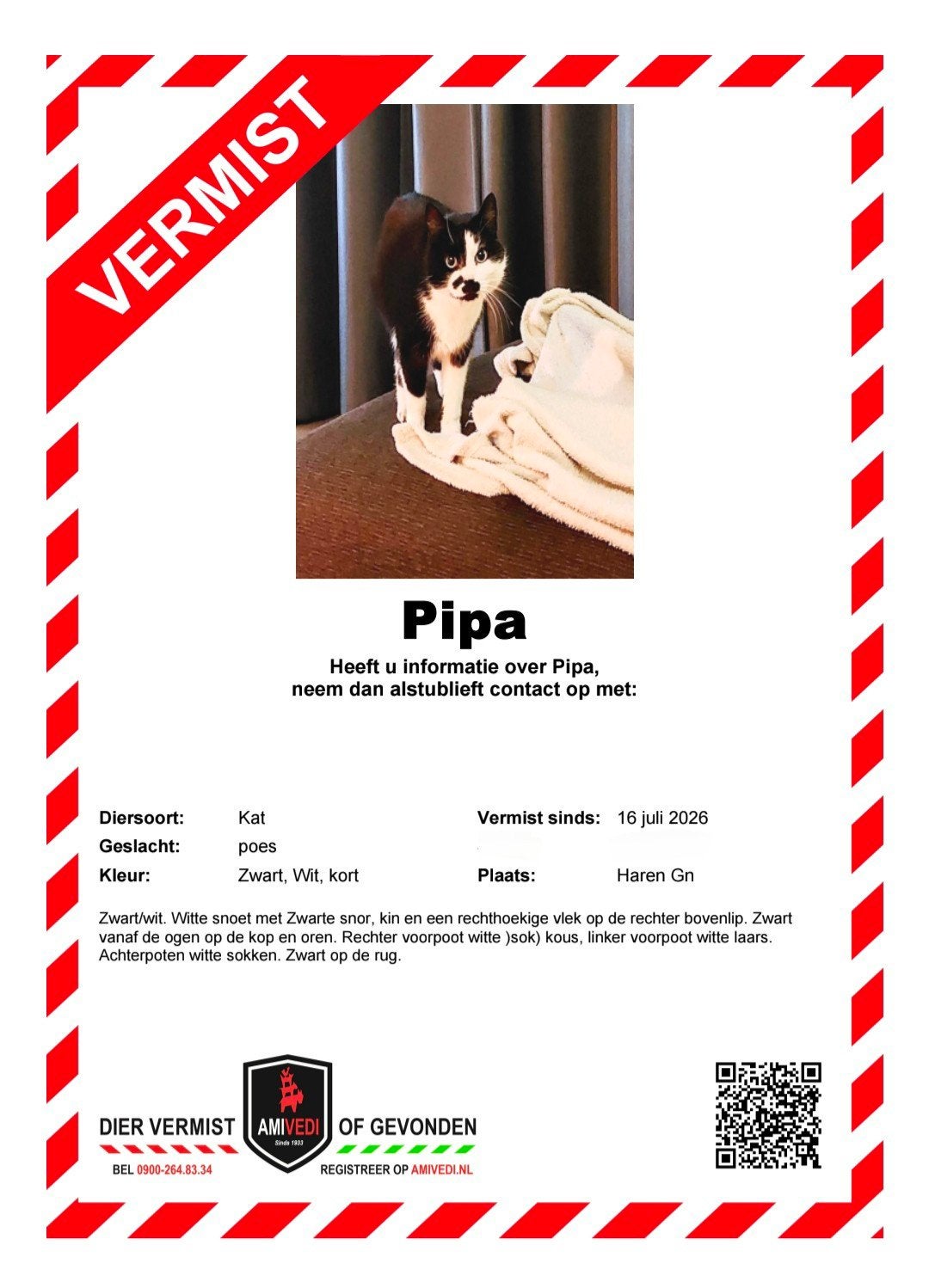 Vermist sinds 15 juli, Pipa., Kat