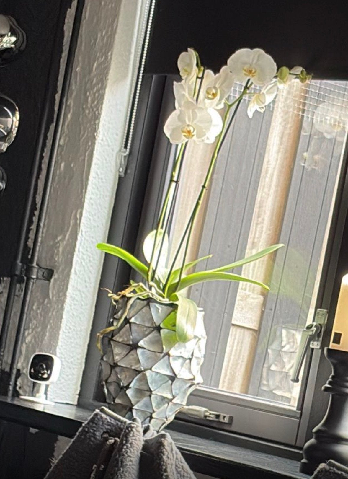 Schelpen vaas zwart/zilver, Huis en Inrichting, Woonaccessoires | Vazen, Ophalen of Verzenden, Zilver