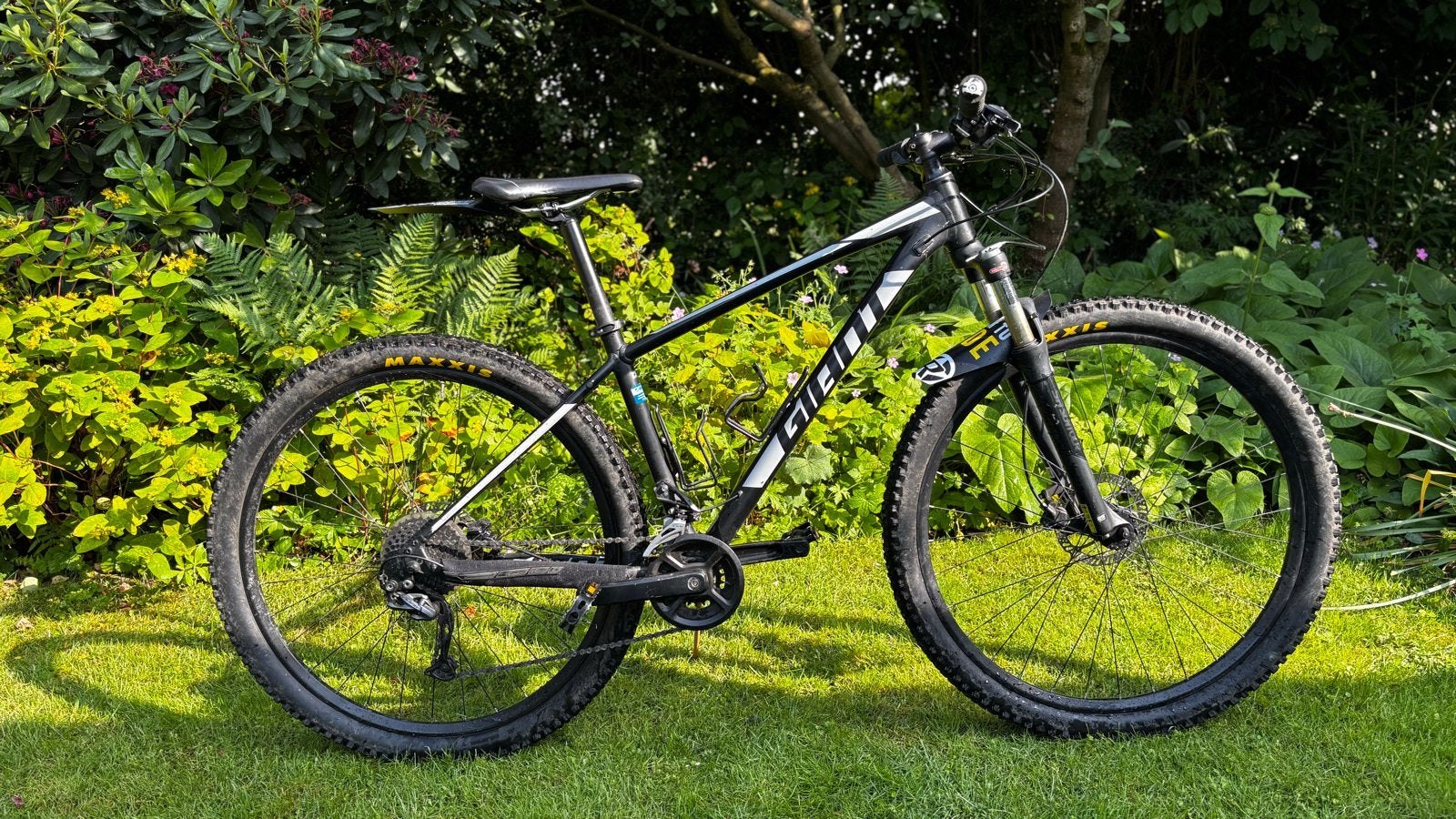 Giant Talon Mountainbike (M) 29”, Ophalen, Gebruikt, Hardtail, Heren