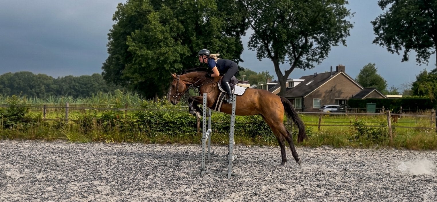 Talentvolle 5-jarige merrie, Merrie, Springpaard, Met stamboom, 3 tot 6 jaar