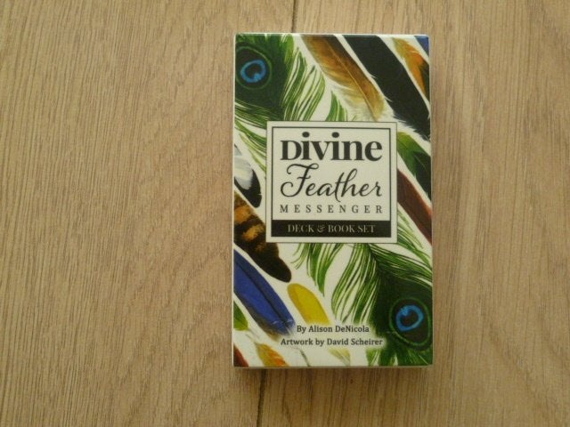Devine Feather messenger kaarten, Boeken, Esoterie en Spiritualiteit, Verzenden, Zo goed als nieuw, Overige onderwerpen, Achtergrond en Informatie