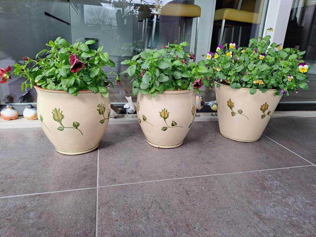 Drie bloempotten met planten, Ophalen
