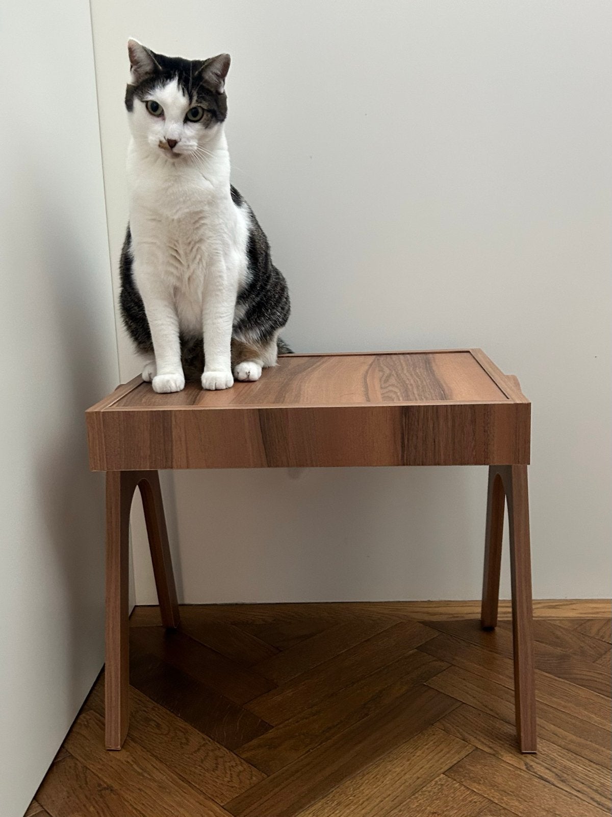 Nieuwe bijzettafel walnoot fineer 52x39x43cm, Huis en Inrichting, Ophalen, Minder dan 45 cm, Minder dan 55 cm, Nieuw