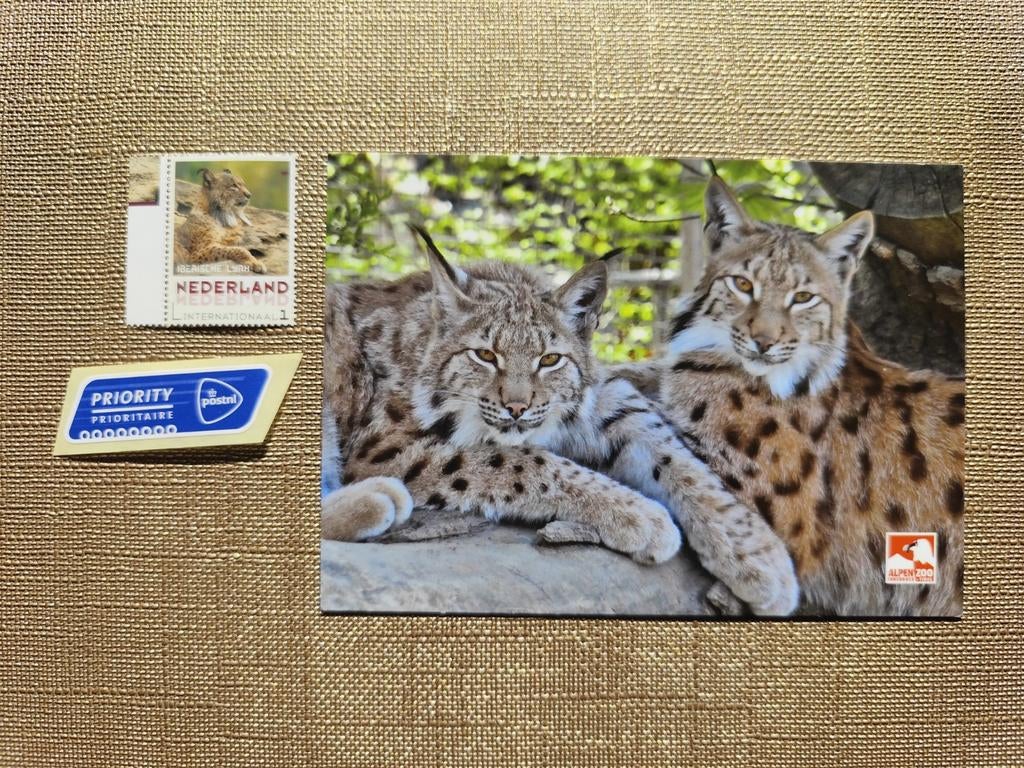 Div. Intern. dieren postzegels met bijhorende ansichtkaarten, Postzegels en Munten, Ophalen of Verzenden, Postfris
